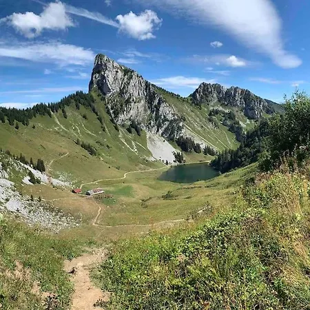 Hotel Le Grizzly Joli Studio Secteur Chatel - Chapelle D'abondance *
