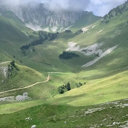 Hotel Le Grizzly Joli Studio Secteur Chatel - Chapelle D'abondance