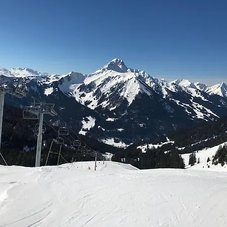 Le Grizzly Joli Studio Secteur Chatel - Chapelle D'abondance * Abondance
