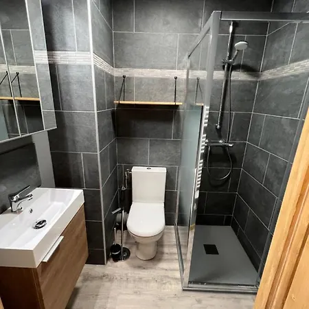 Le Grizzly Joli Studio Secteur Chatel - Chapelle D'abondance Hotel