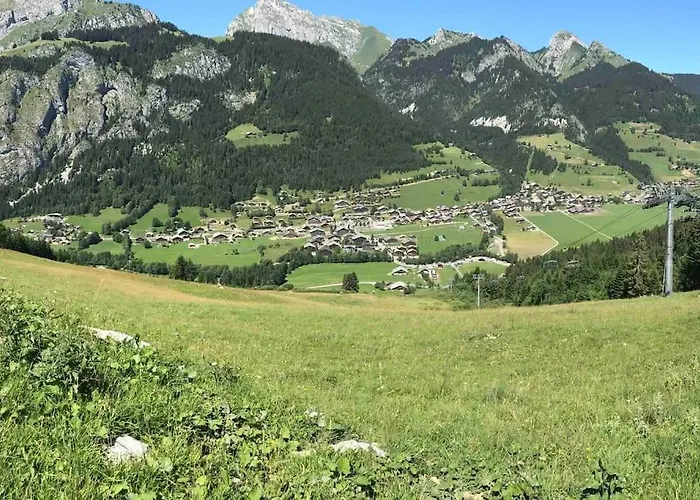 Le Grizzly Joli Studio Secteur Chatel - Chapelle D'abondance Hotel *