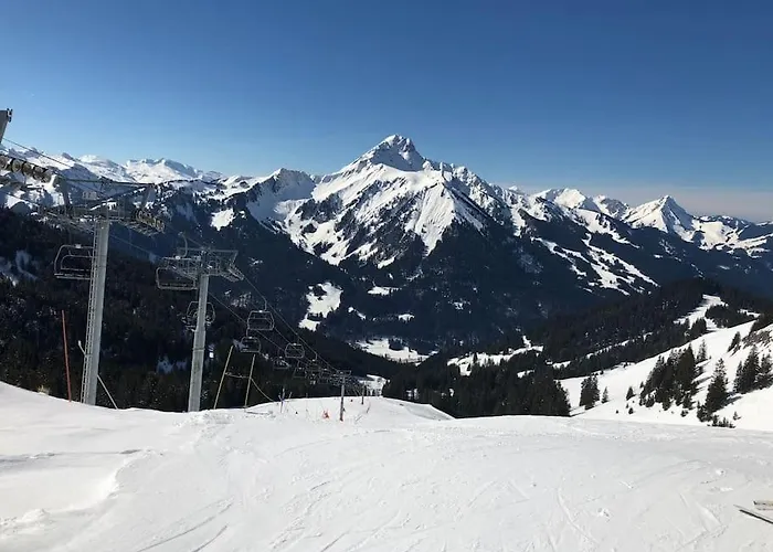 Le Grizzly Joli Studio Secteur Chatel - Chapelle D'abondance * Abondance
